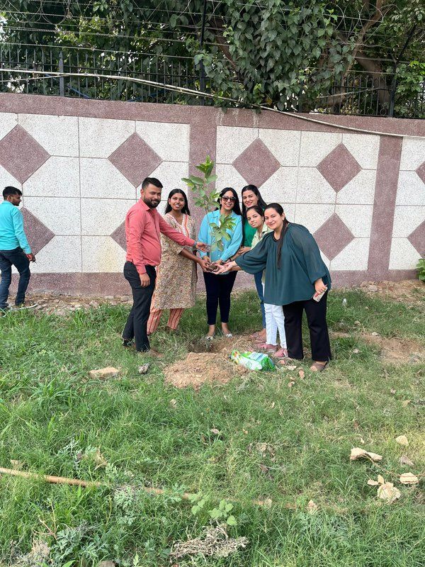 Trackon team at a tree plantation drive